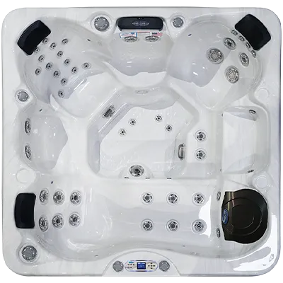 Avalon EC-849L hot tubs for sale in Clarksville